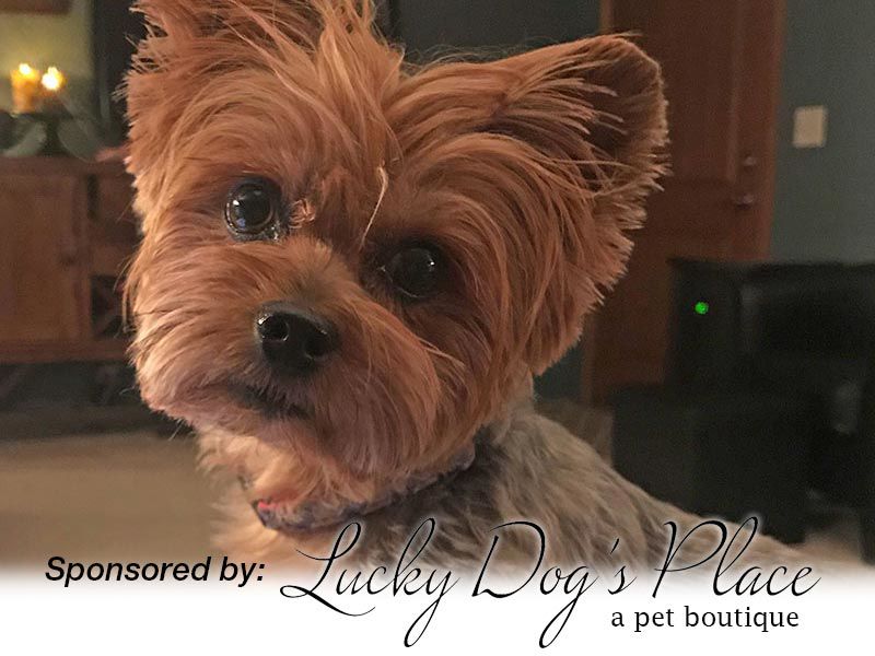 Lily Mae Fisher